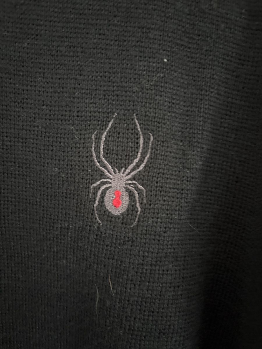 Spyder Maglioni & Felpe: Spyder Herren Pullover, Grösse L, Dunkelblau /Rot -  – Usato da Affoltern am Albis venduto da Cmara 1