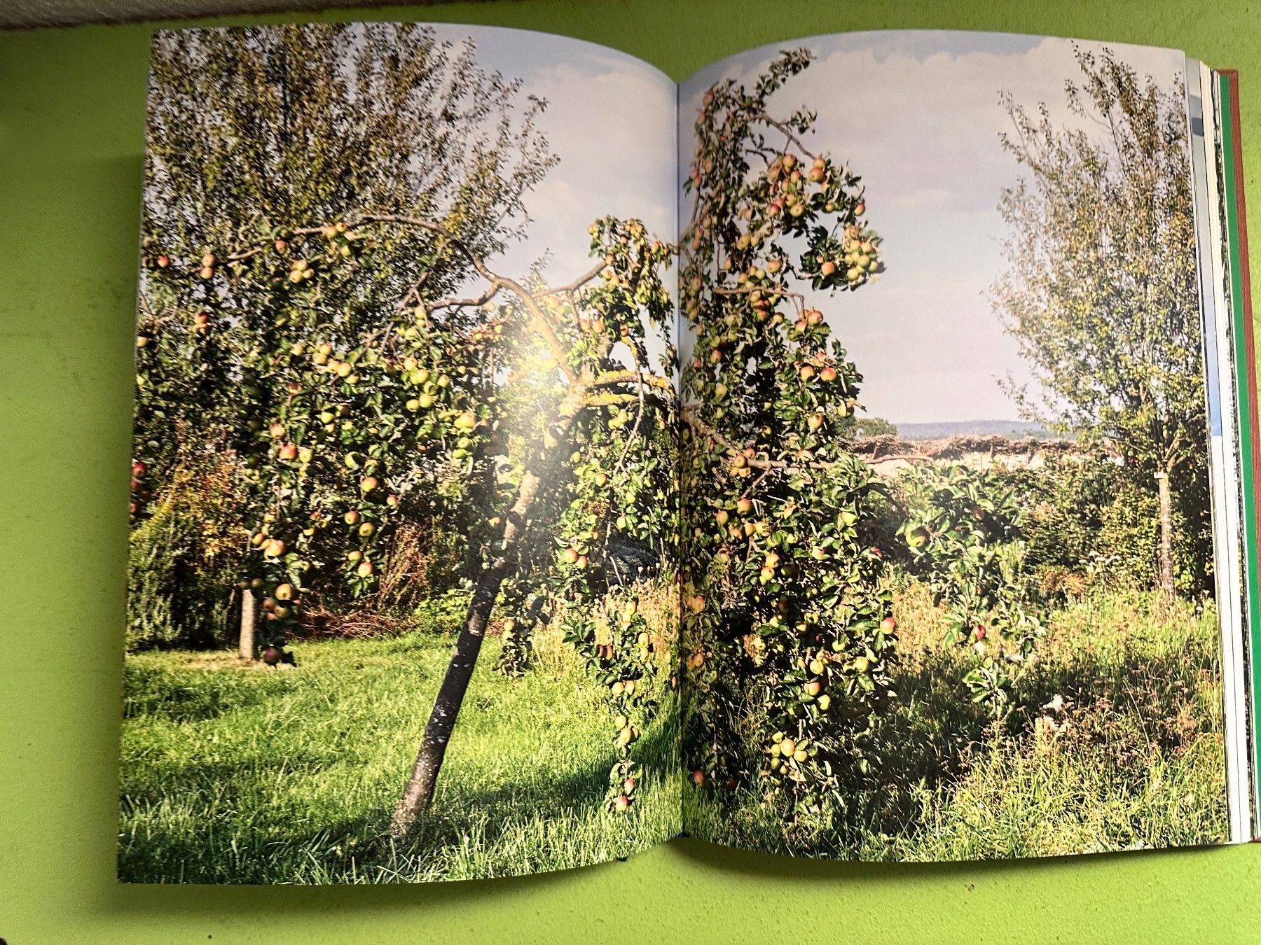 Livres: Anette Freytag: Les jardins de La Gara. – D'occasion à Zürich par allp 7