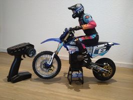Losi Promoto MX
