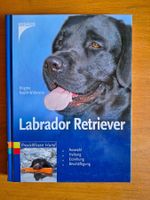 Labrador Retriever / Praxiswissen Hund