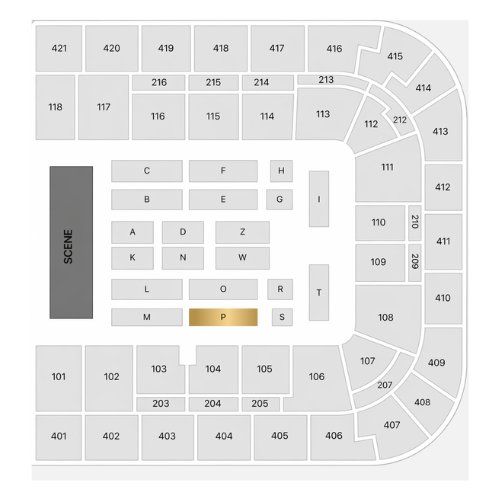 Tickets: Céline Dion Tickets - Samstag 19.09.2026 - Block P – Neu und originalverpackt aus Wohlen AG von OOS-Tickets 1