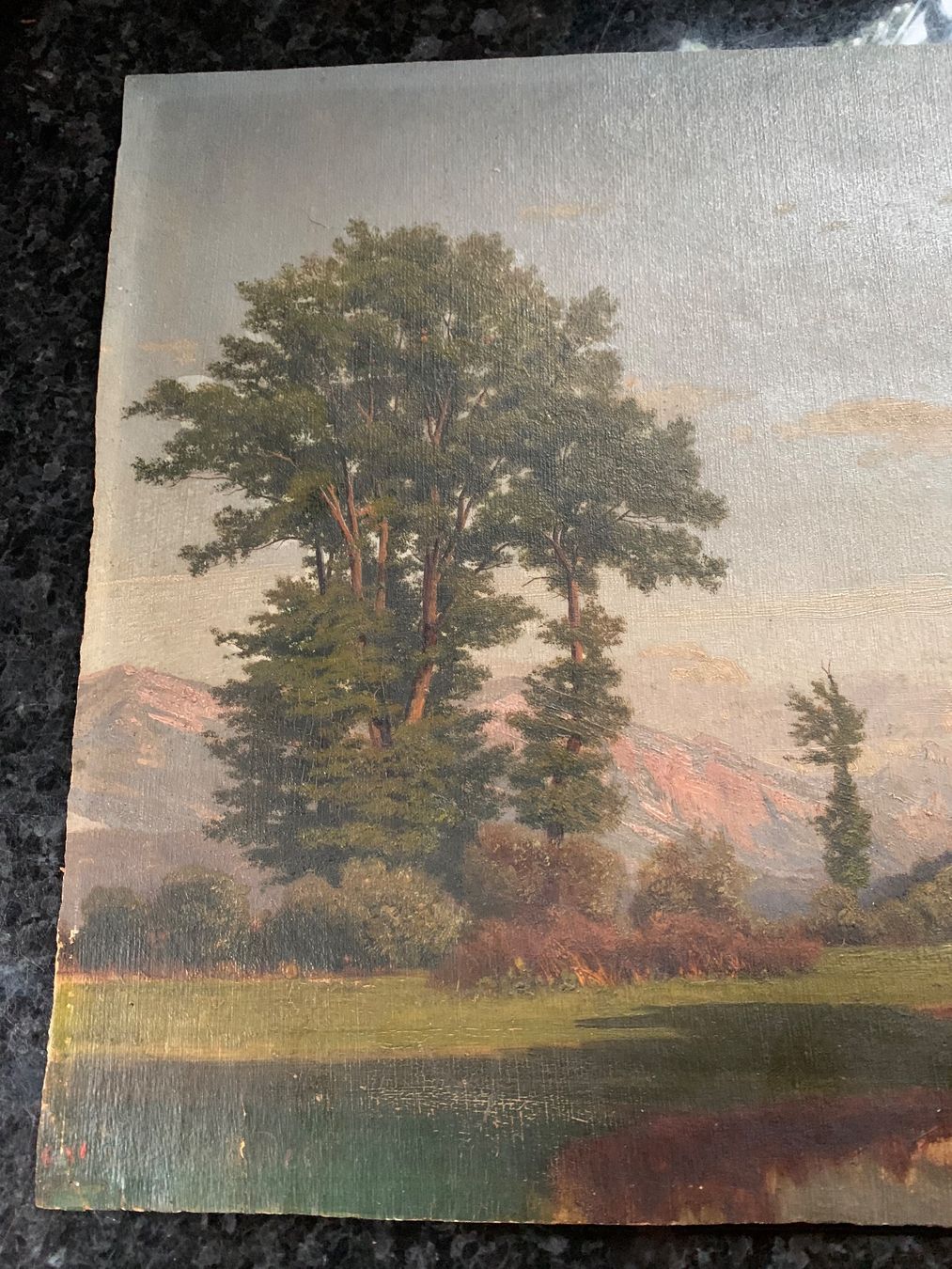 Dipinti: Schweizer Schule 1858 – Usato da Wolfhalden venduto da SecondAntique 4