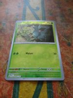 POKEMON  Tannza    G  PAL DE   004/193   KP70   2023