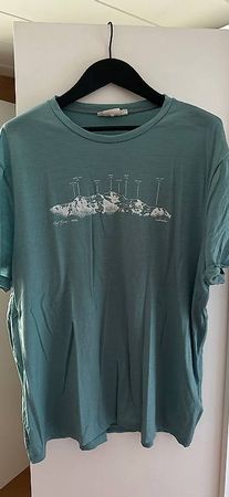 Icebreaker 150 Merinowolle Tshirt Herren Top