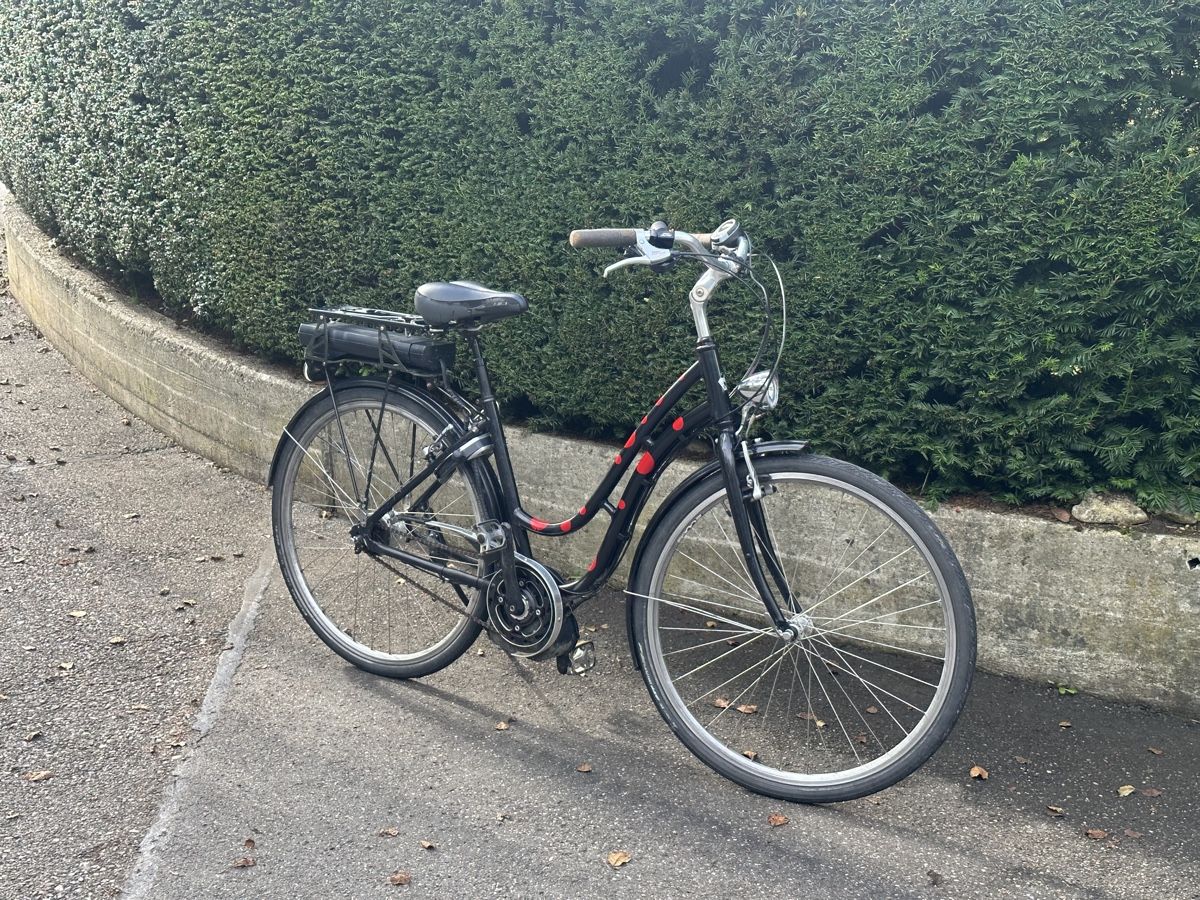 Biciclette: E Bike 25kmh – Usato da Zullwil venduto da Autocentersalii 2