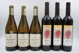 3x Delheim Chenin Blanc & 3x Loidana Priorat (26082464Z)