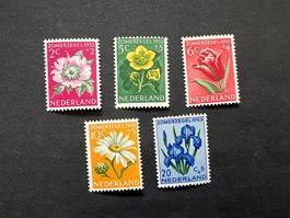 Holland Serie Blumen 1952 *  (4461)