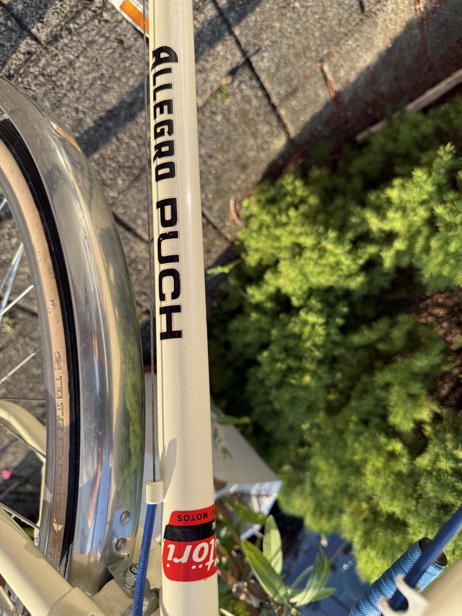 Puch Velos: Allegro Puch Velo,  – Gebraucht aus Eschlikon TG von Montykokino 2