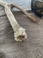 Silberring breit mit Bergkristall, Durchmesser 20 cm