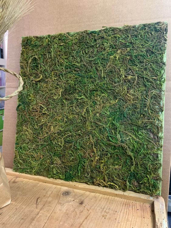 "Moosplatte" Dekomaterial Kaufen auf Ricardo