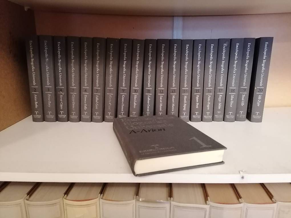 Libri: Treccani Biografien, 20 Bände – Usato da Wohlen AG venduto da tenorespinto