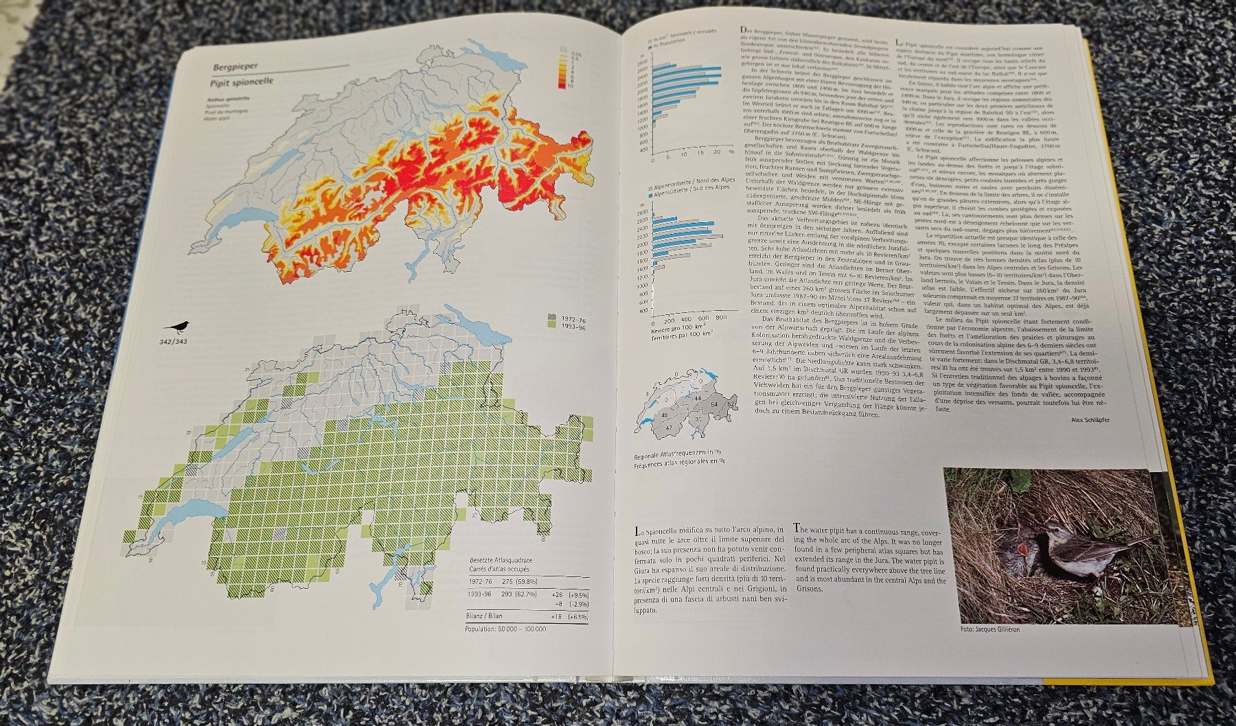 Libri: Schweizer Brutvogelatlas 1993-96 - Selten / Vogelwarte – Nuovo (secondo la descrizione) da Witterswil venduto da Regus 3