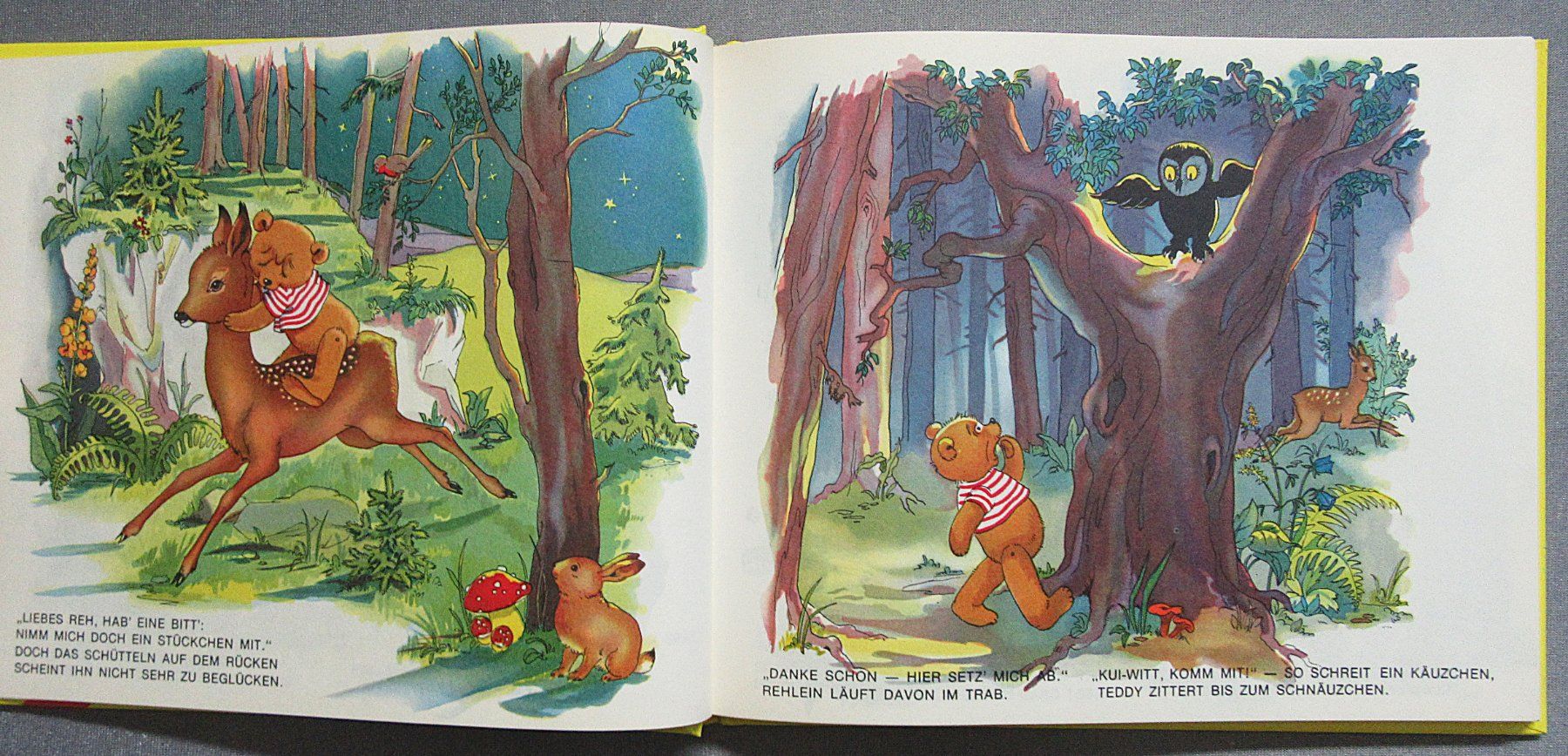 Libri: Teddys Abenteuer - wunderschön illustriert von Anny Hoffmann – Usato da Auenstein venduto da Padabimbim 2