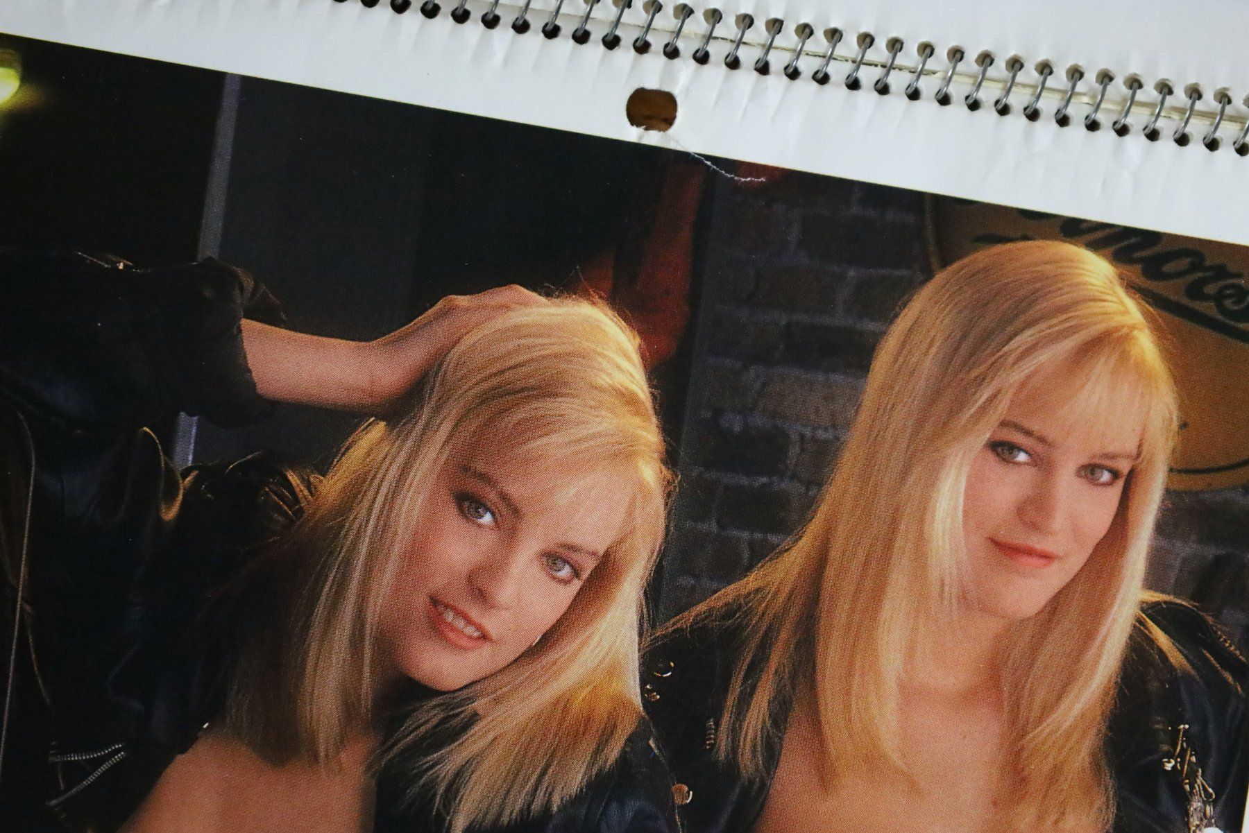 Playboy Calendari: PLAYBOY Kalender 1990 mit Erika Eleniak – Usato da Birrwil venduto da brandschatz_birrwil 7
