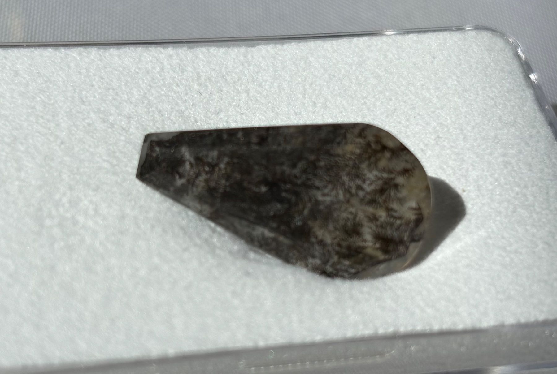 Pietre preziose: Dendrite Quarz 12.6 ct – Usato da Brugg AG venduto da lau_9rvy 1