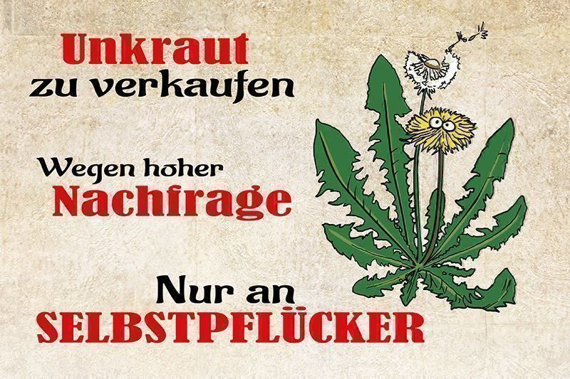 Insegne: Blechschild-UNKRAUT ZU VERKAUFEN AN SELB – Nuovo e nell'imballaggio originale da Rupperswil venduto da big-one-sale