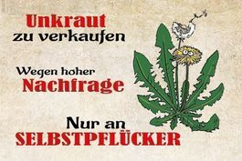 Blechschild-UNKRAUT ZU VERKAUFEN AN SELB