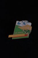WENGENALPBAHN Jubiläums PIN