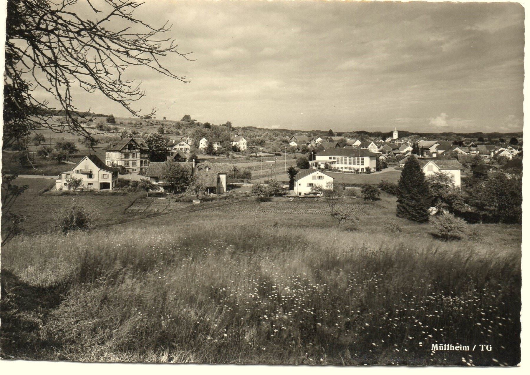 Cartes postales: MÜLLHEIM TG – Neuf (Voir description) à Jona par philajona