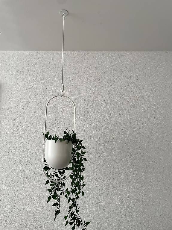 Pots de fleurs: 2 hängetöpfe zu verkaufen – D'occasion à Glattpark(Opfikon) par TheaSeddig