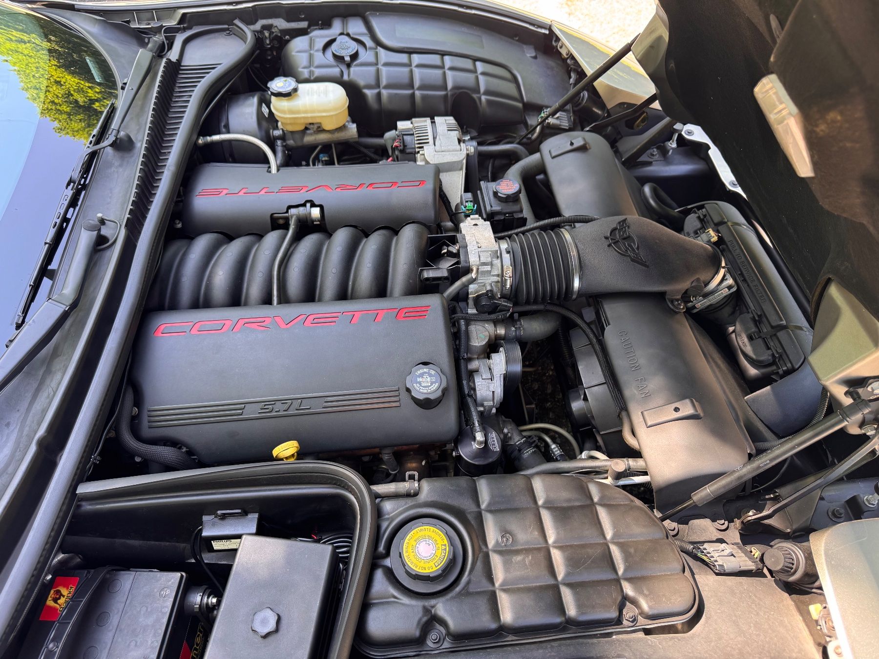 Chevrolet Autos: ✨ Wunderschöne Corvette C5 5.7 mit MfK 08.05.2025 ✨ – Gebraucht aus Wittnau von Bulli73 6