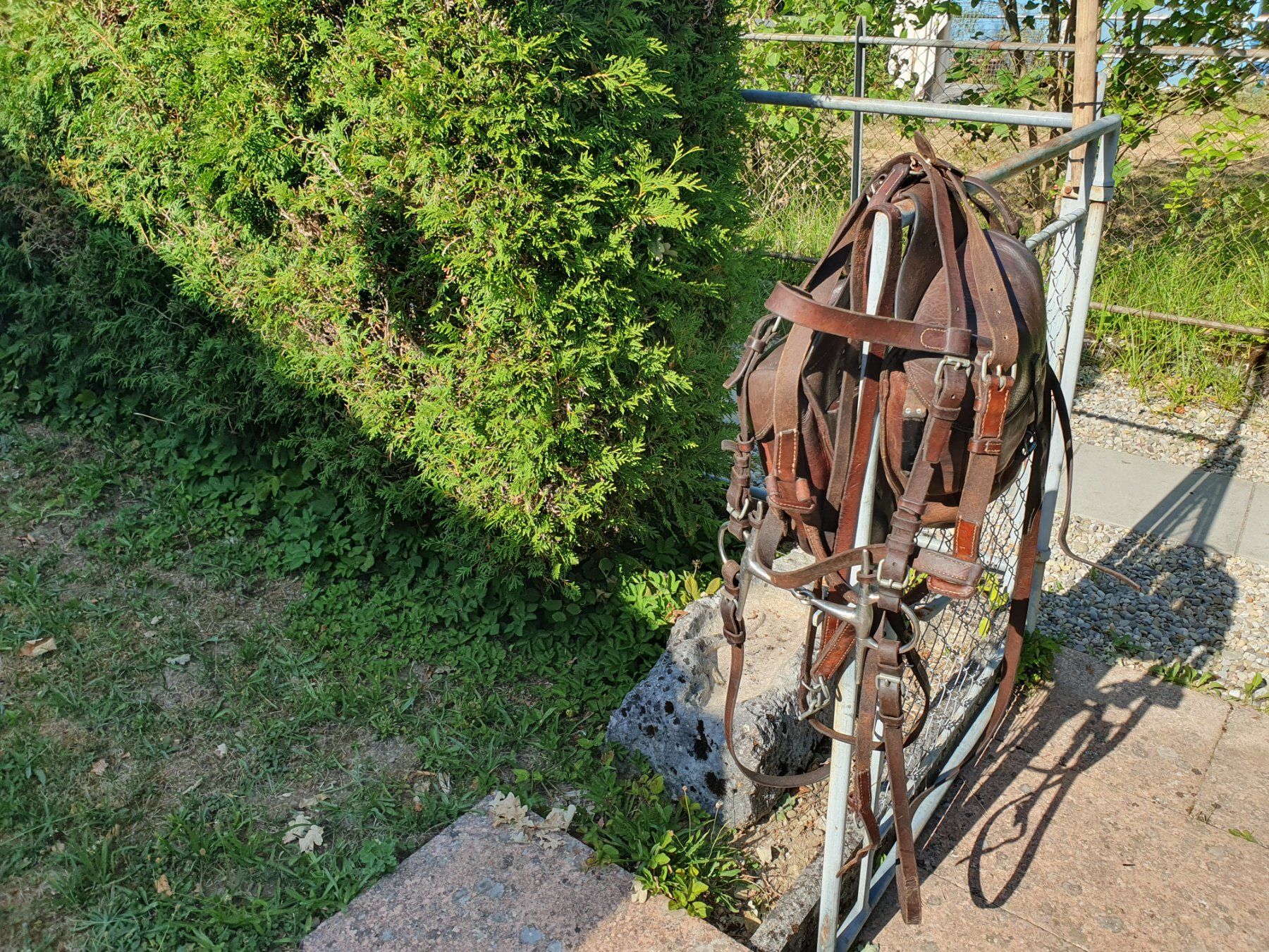 Selle & Accessori: Kavalleriesattel mit Sacoche und Zaumzeug – Usato da Winterthur venduto da Wuga 2