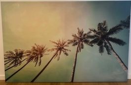 Palmen Bild auf Leinwand