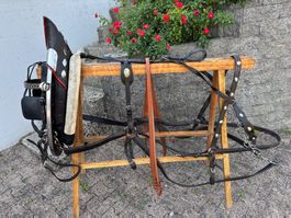 schönes Tiroler Spitzkummetgeschirr