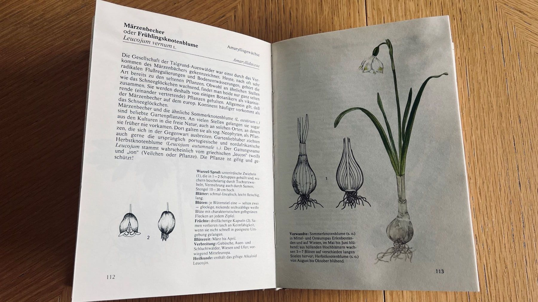 Libri: Pflanzenbuch: Wald und Flur entdecken , 1980 – Usato da Schübelbach venduto da Bemafaja 5