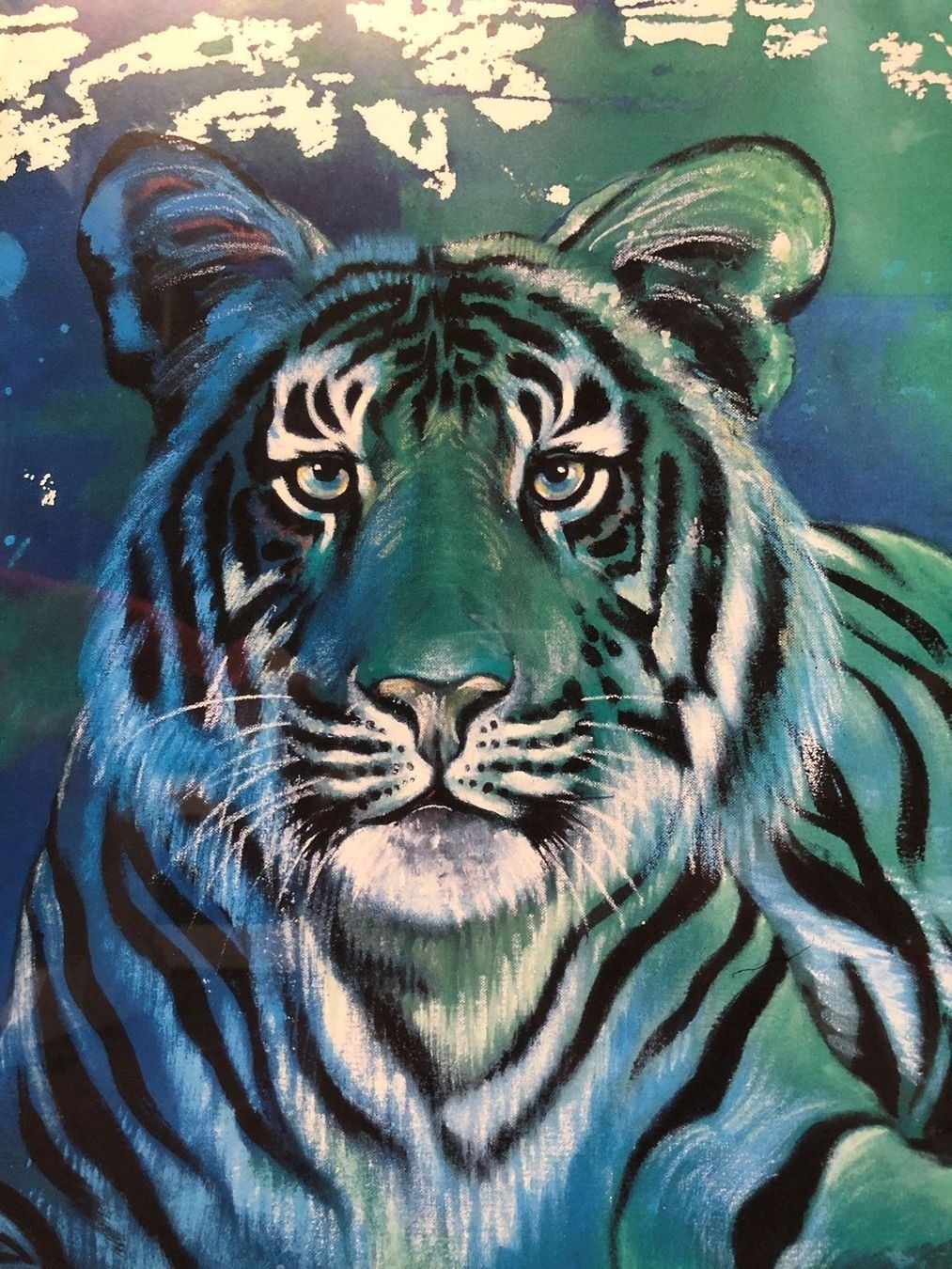 Foto & Immagini: Rolf Knie Wandbild Wechselrahmen Tiger – Usato da Müllheim Dorf venduto da Othmar73 1