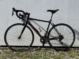 Rennrad Bergamont schwarz rot