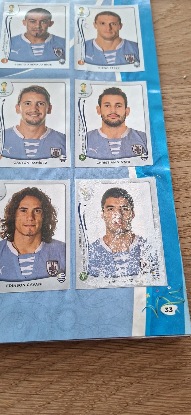 Panini Album: WM 2014 Panini Album vollständig – Usato da Buchs ZH venduto da GRE_11 2