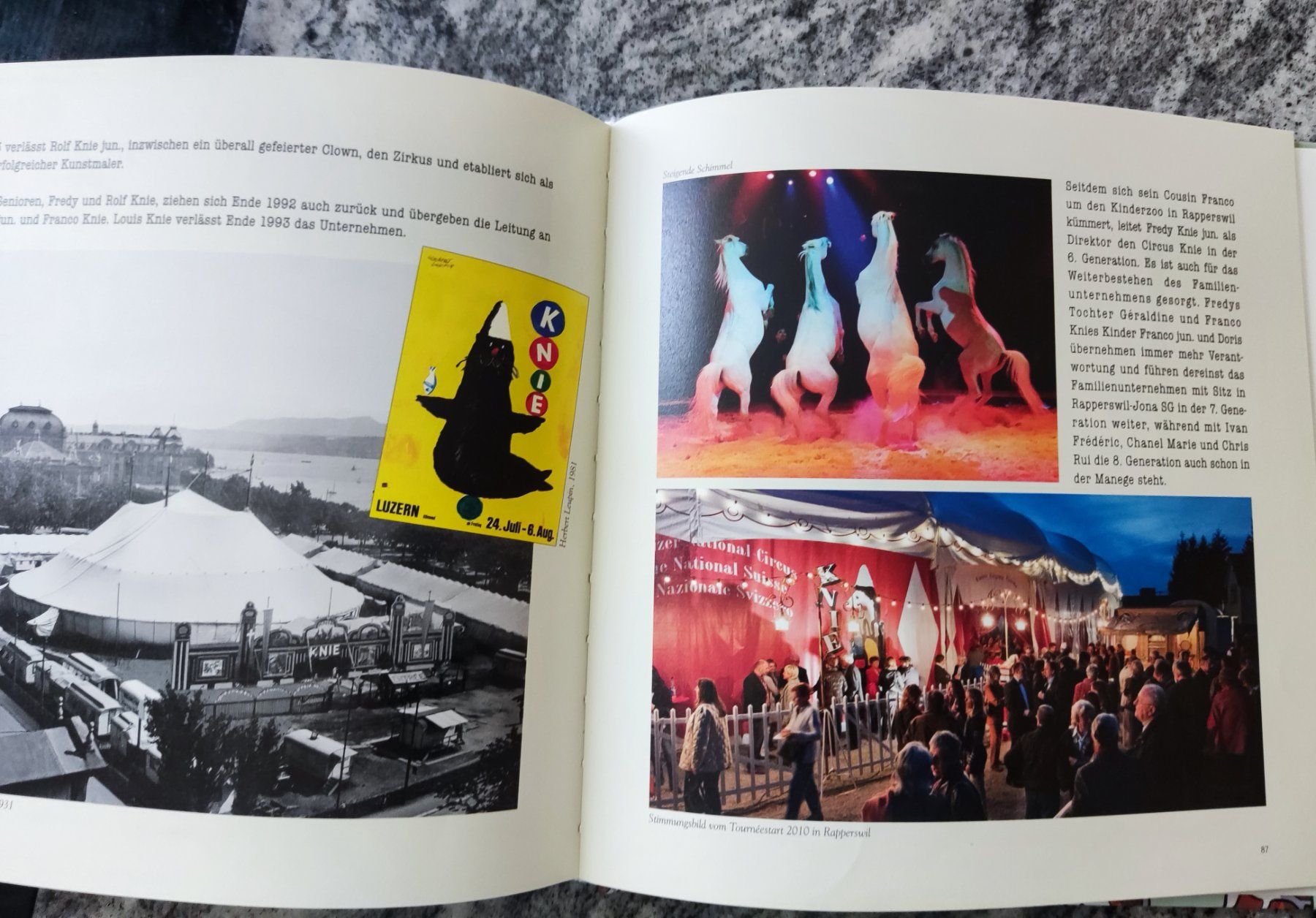 Audiolibri: PAPAGALLO & GOLLO ,IM CIRCUS KNIE – Usato da Chur venduto da Nisami 6