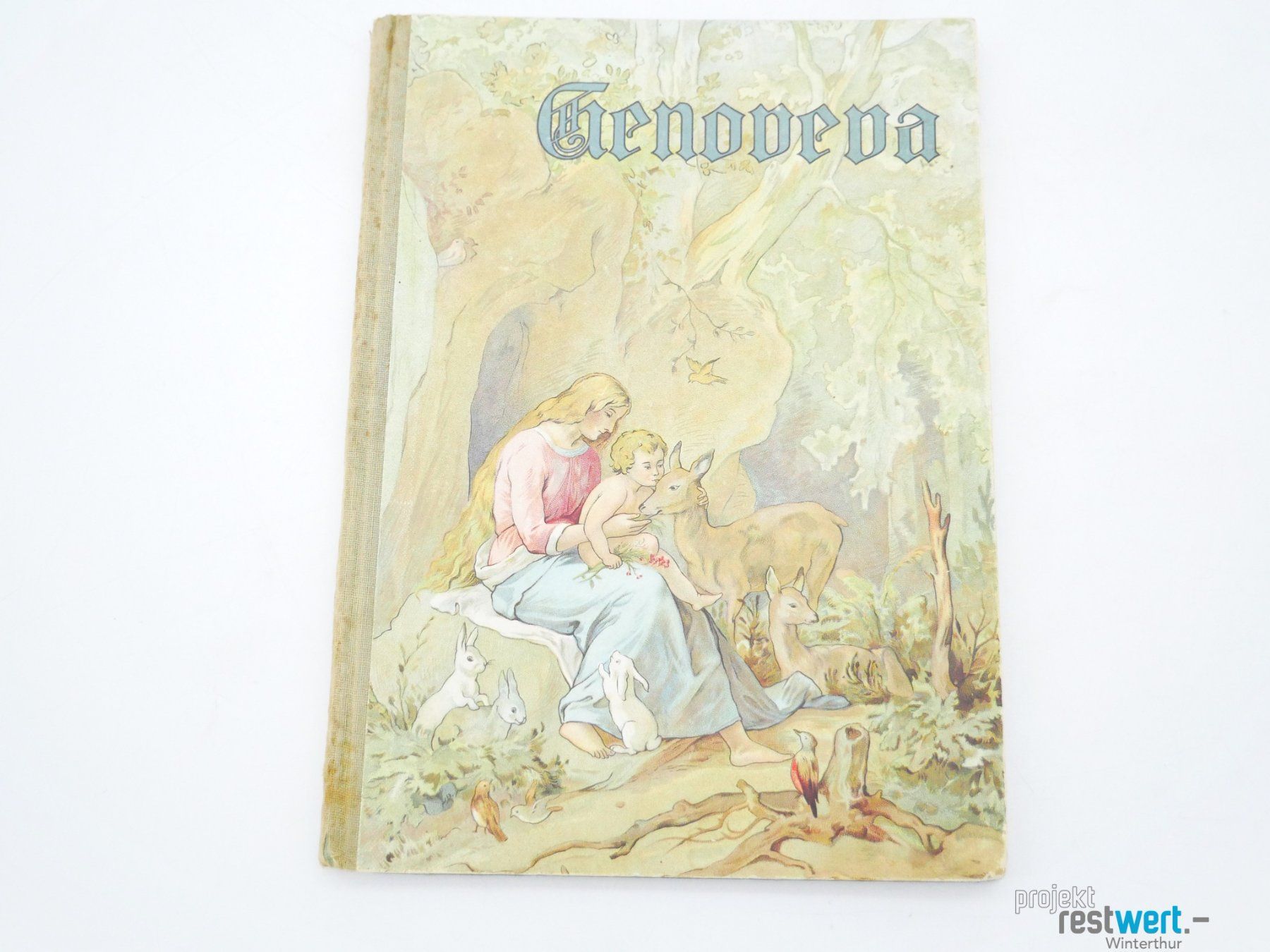 Libri: Genovefa - Eine der schönsten Geschichten Buch – Usato da Winterthur venduto da Restwert_Winterthur