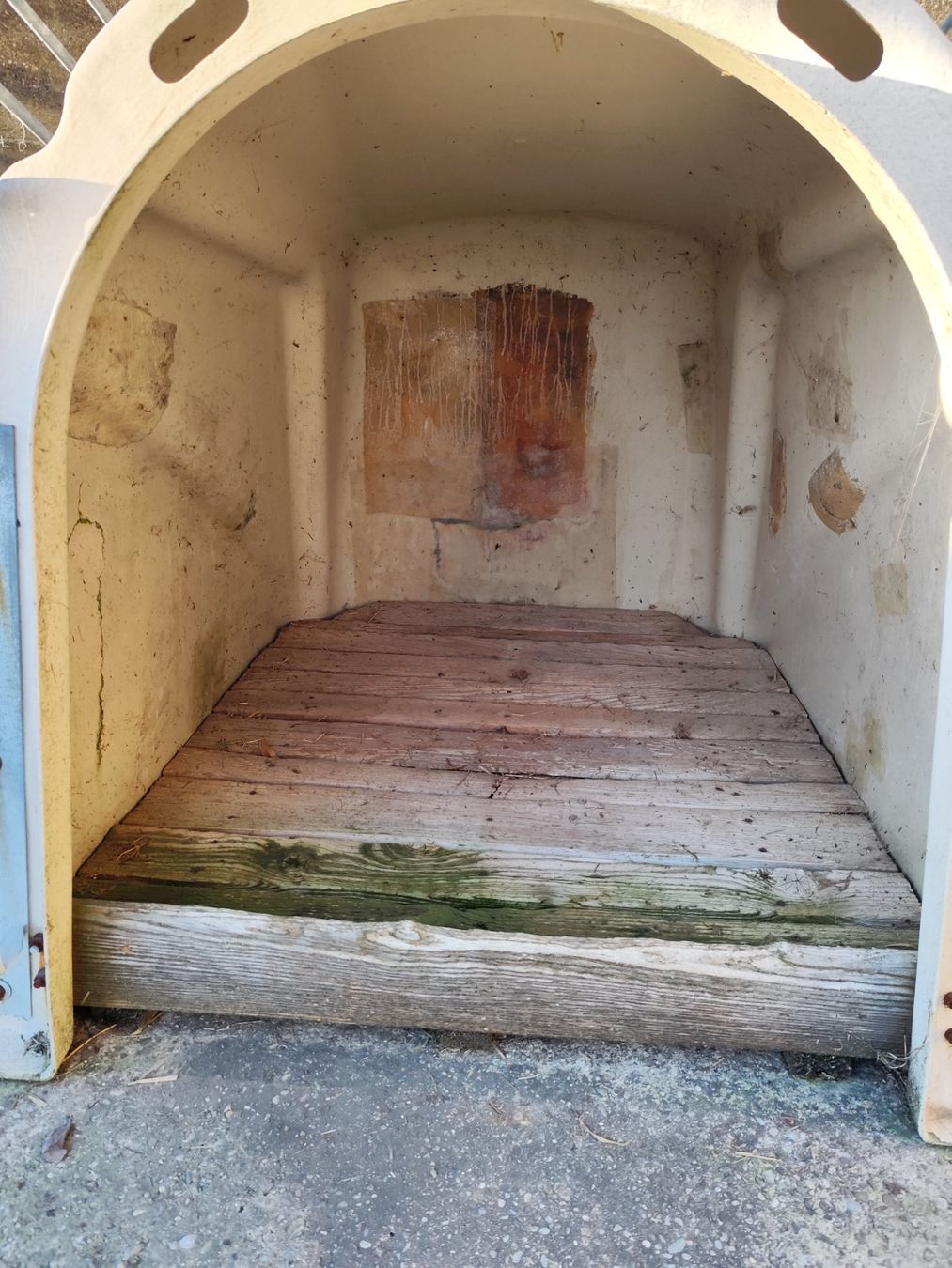 Gabbie, trasporto & Sicurezza: Kälberiglu weiss – Usato da Bernhardzell venduto da dsigi82 1