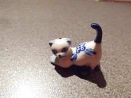 Katze weiss / blaues Muster