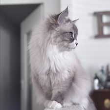 Profile image of Starnin