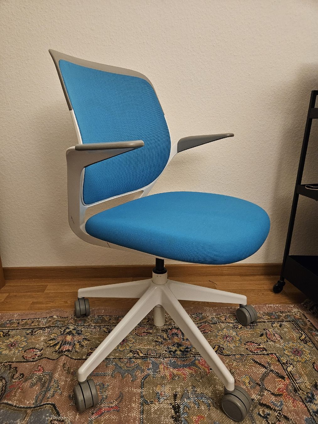 Steelcase Sedie: Steelcase Cobi, lagoon/weiss – Usato da Zürich venduto da joalves