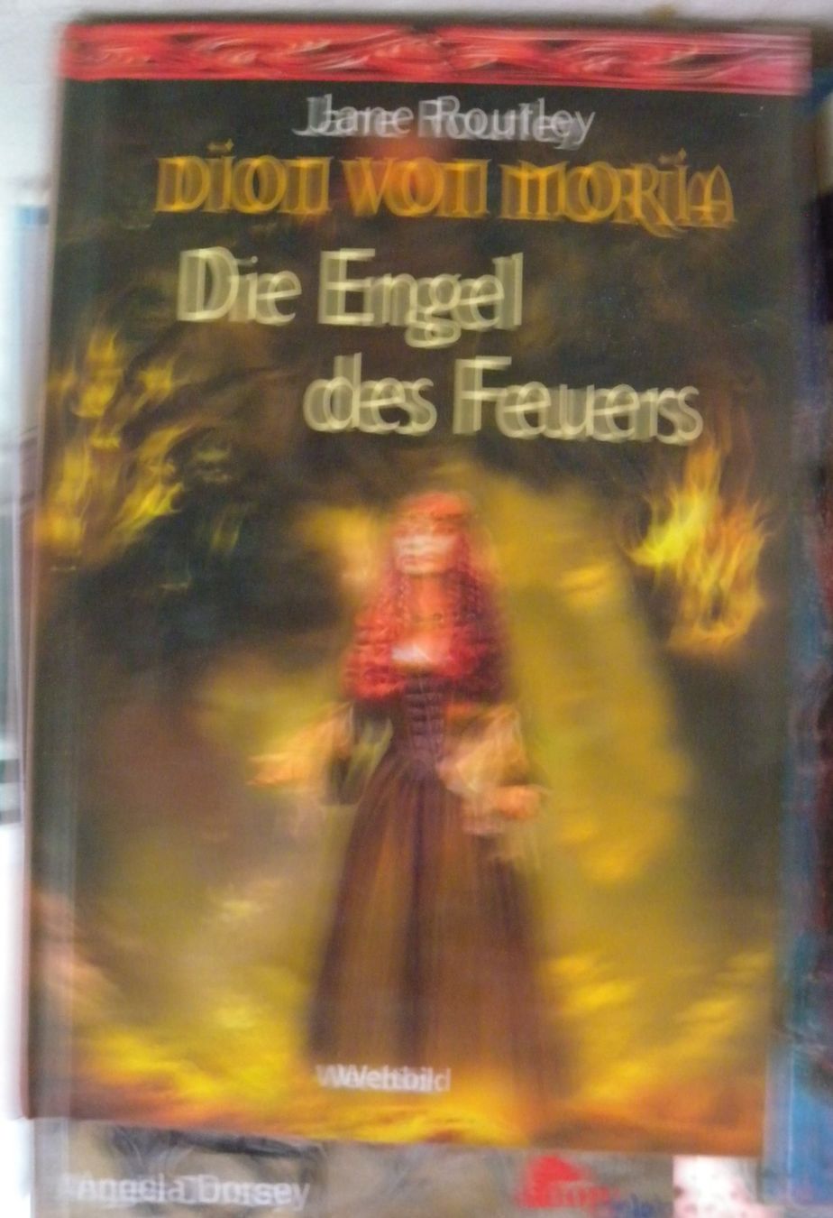 Libri: die engel des feuers – Usato da Hauenstein venduto da Danbach