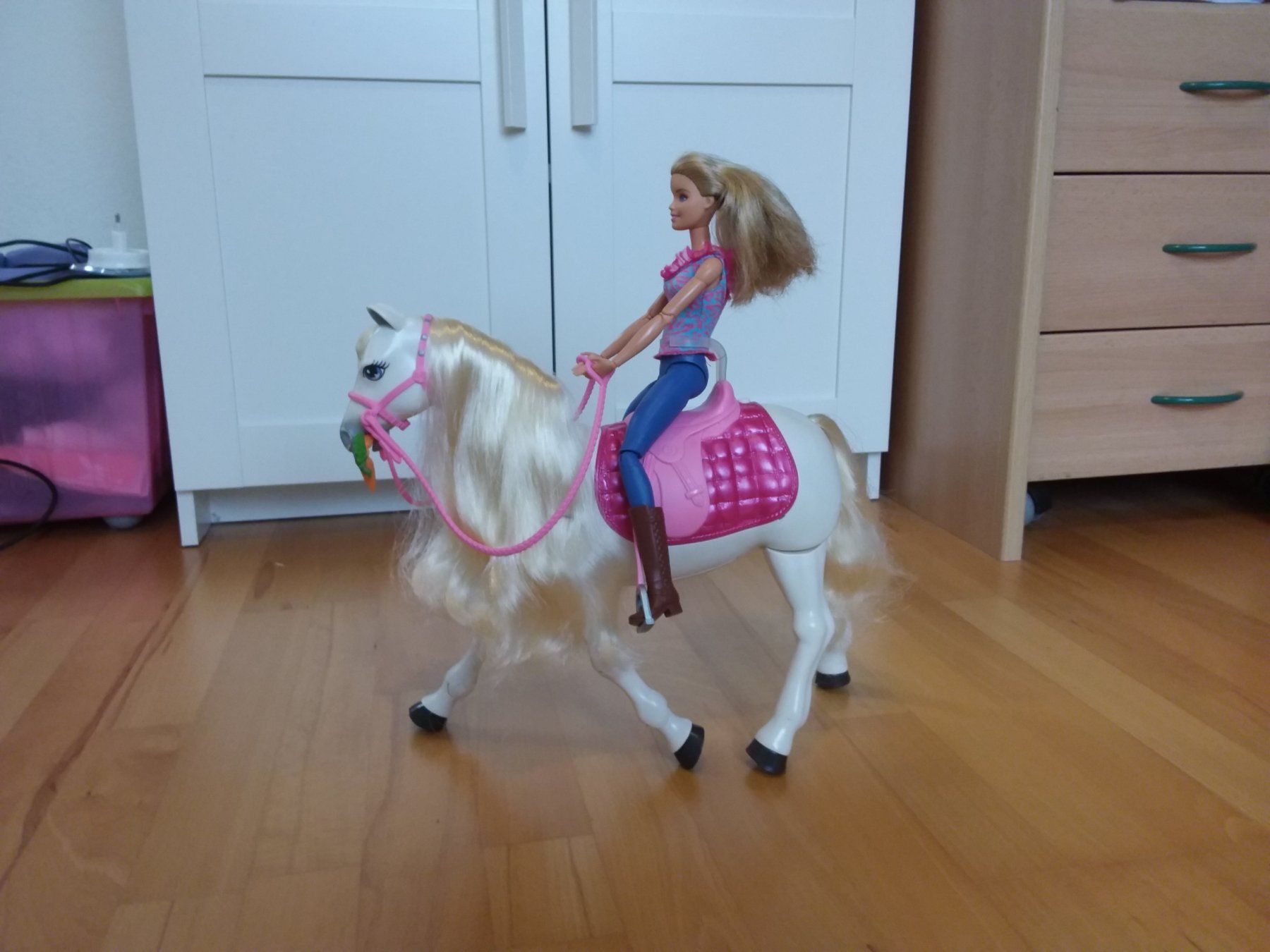 Puppen: Barbie Traumpferd und Puppe – Gebraucht aus Widen von Cariff