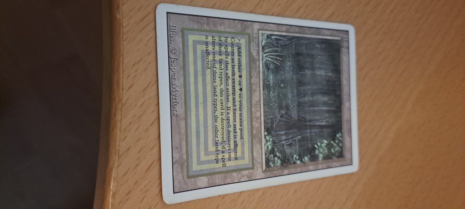 Magic The Gathering Carte collezionabili: Bayou Revised Magic the Gathering – Usato da Wölflinswil venduto da pokneto 3