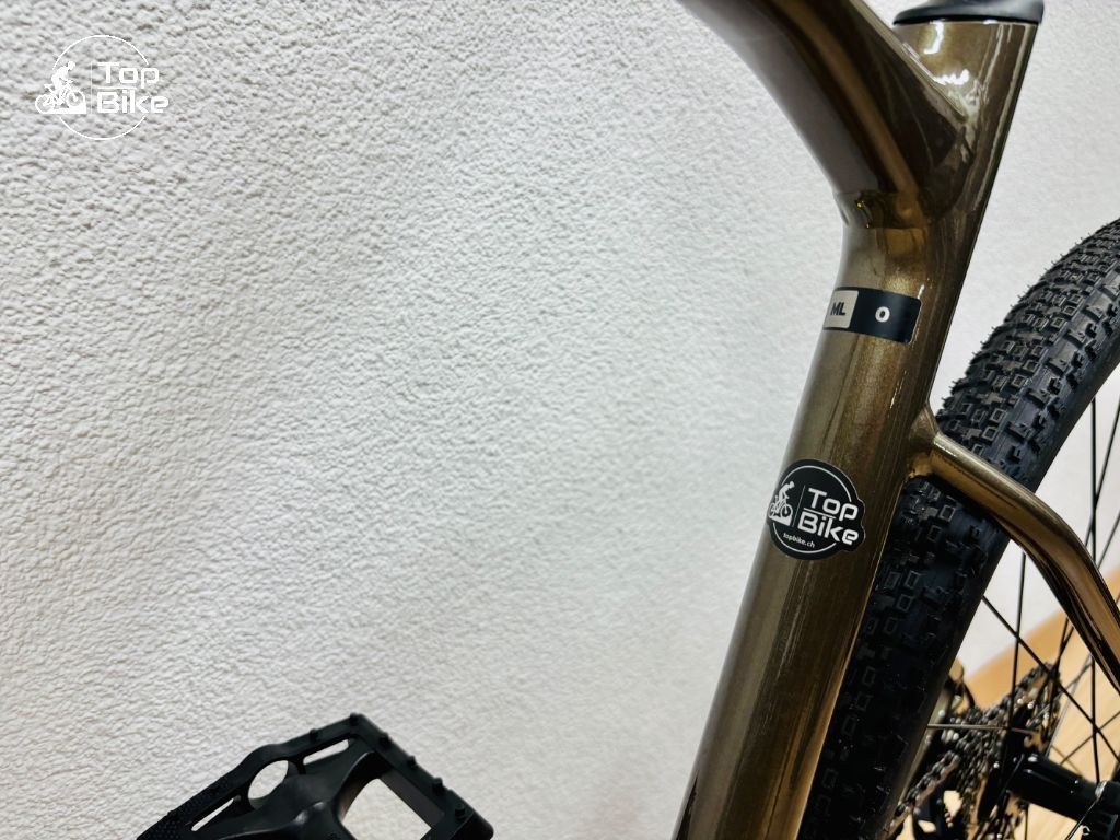 Giant Biciclette: Giant Revolt 0 M/L – Usato da Stallikon venduto da TopBikeCH 9