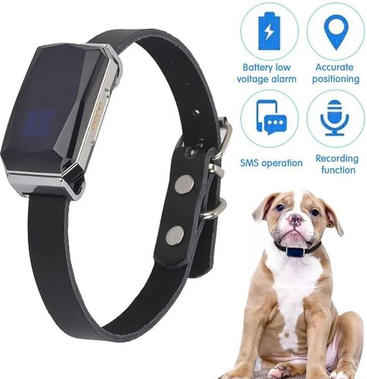 GPS Tracker für Katzen und Hunde Kaufen auf Ricardo