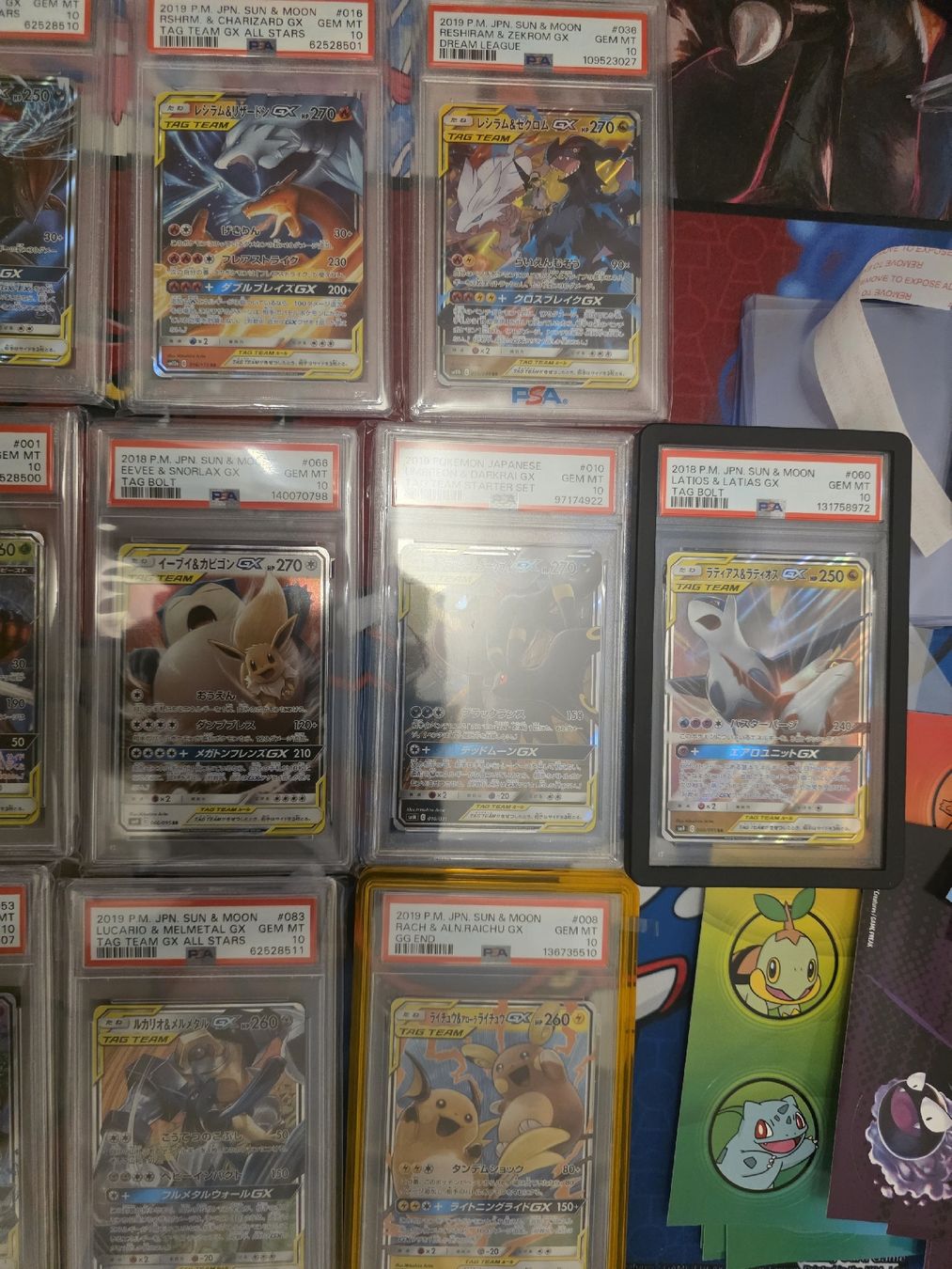 Pokémon Carte collezionabili: Pokemon Tag Team Psa 10 Sammlung – Usato da Wolfwil venduto da Dragondrei33 3