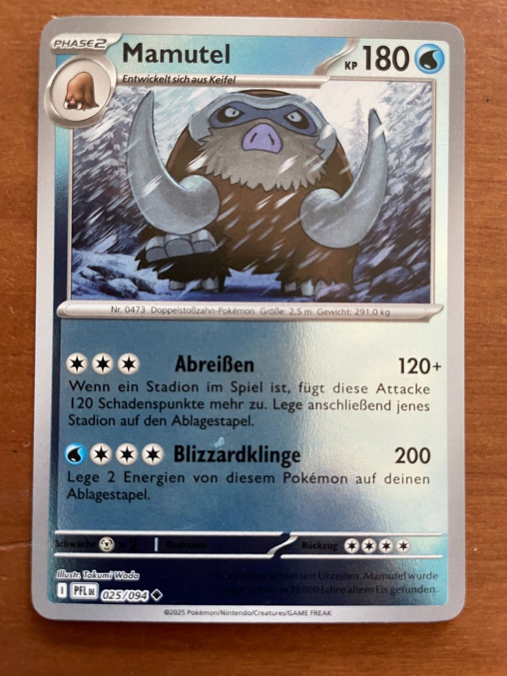 Pokémon Carte collezionabili: Pokemon Mamutel Reverse (Versand gratis) – Nuovo (secondo la descrizione) da Chur venduto da Angerson