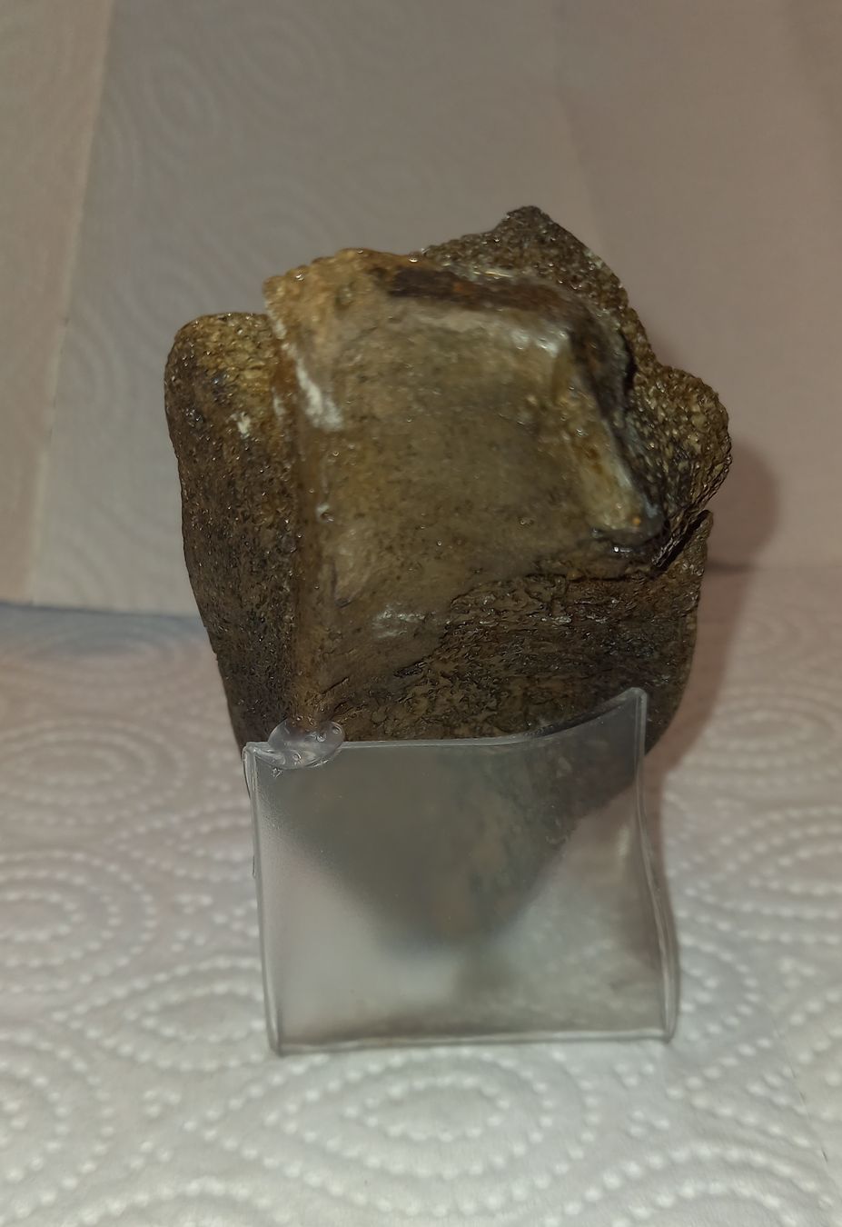 Sculture & Statue: Primitive Ziermaske aus Walfischknochen – Usato da Reiden venduto da jasi029 3