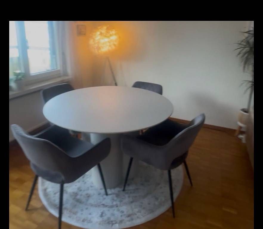 Chaises: 4 Esszimmerstühle Grau mömax – D'occasion à Wetzikon ZH par chi_2lrk 2