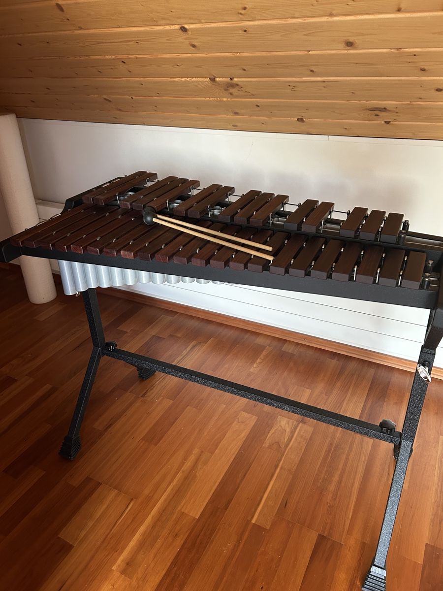 Strumenti musicali: Xylophon WHD – Usato da Henau venduto da 250910 3