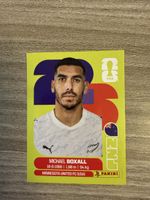 Panini Fifa NZL 4