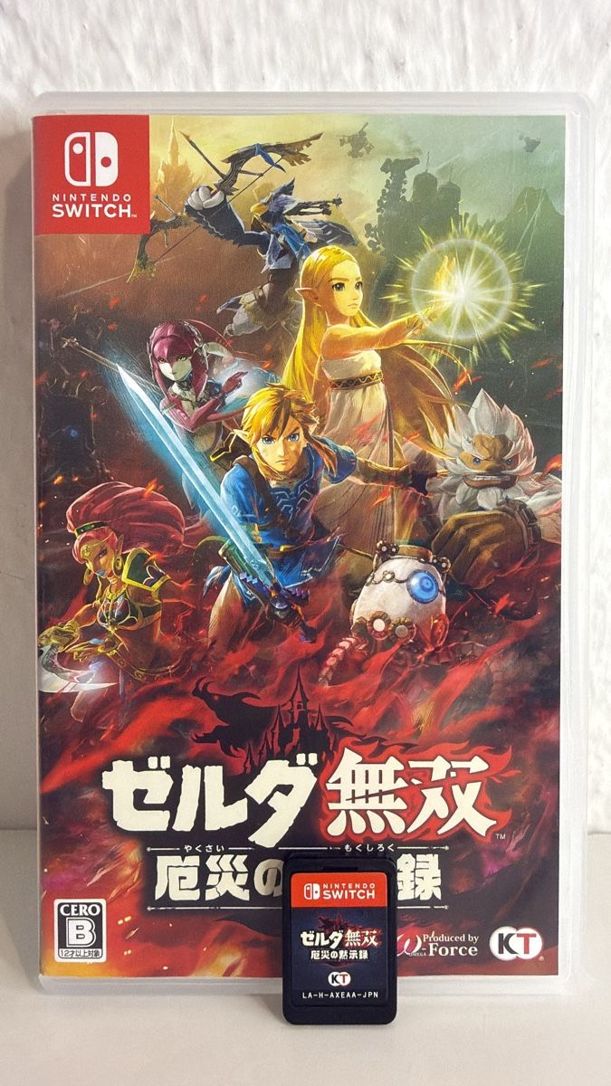 Nintendo Giochi: Hyrule - Nintendo Switch Game - Japanese version – Usato da Ehrendingen venduto da bubulence